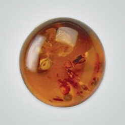 Natural Baltic Amber, Round Cabochon
