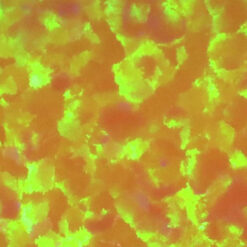 Lab Created Gilson Opal, OP710 Fire Opal with Green Fire